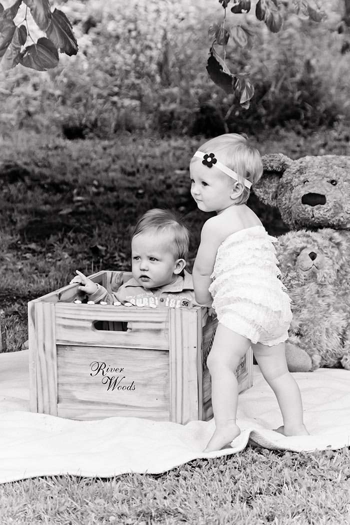baby-girl-boy-box-teddy-bear-randburg-olivedale-johannesburg-photographer-georgina-voigt-photography